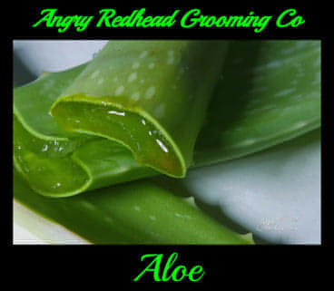 Aloe Hair Oil by Angry Redhead Grooming Co - angryredheadgrooming.com