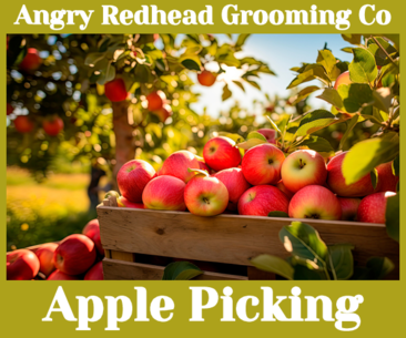 Apple Picking Goat's Milk Body Lotion by Angry Redhead Grooming Co - angryredheadgrooming.com