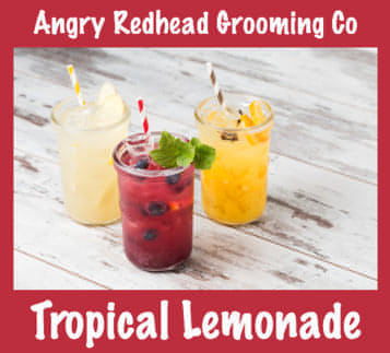 Tropical Lemonade Goat's Milk Body Lotion by Angry Redhead Grooming Co - angryredheadgrooming.com